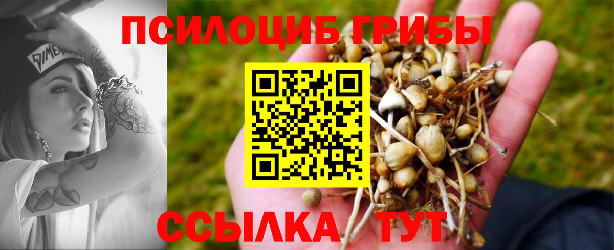 Псилоцибиновые грибы MAGIC MUSHROOMS  Галлюциногенные грибы мухоморы  Джанкой  Вход с VPN 